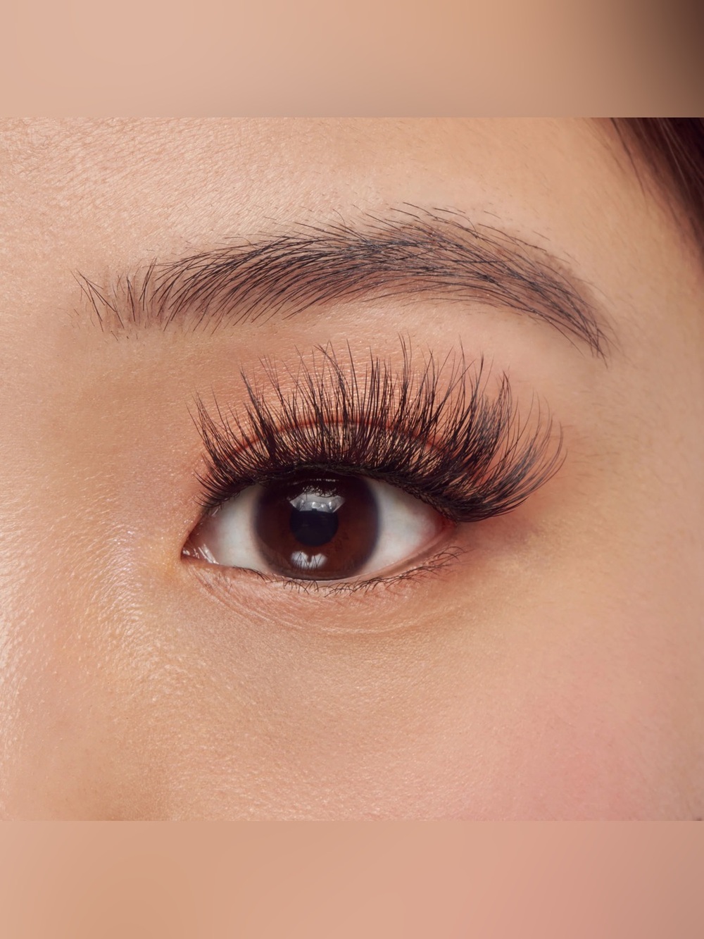 Lashes Bundle - Picture 5 of 6